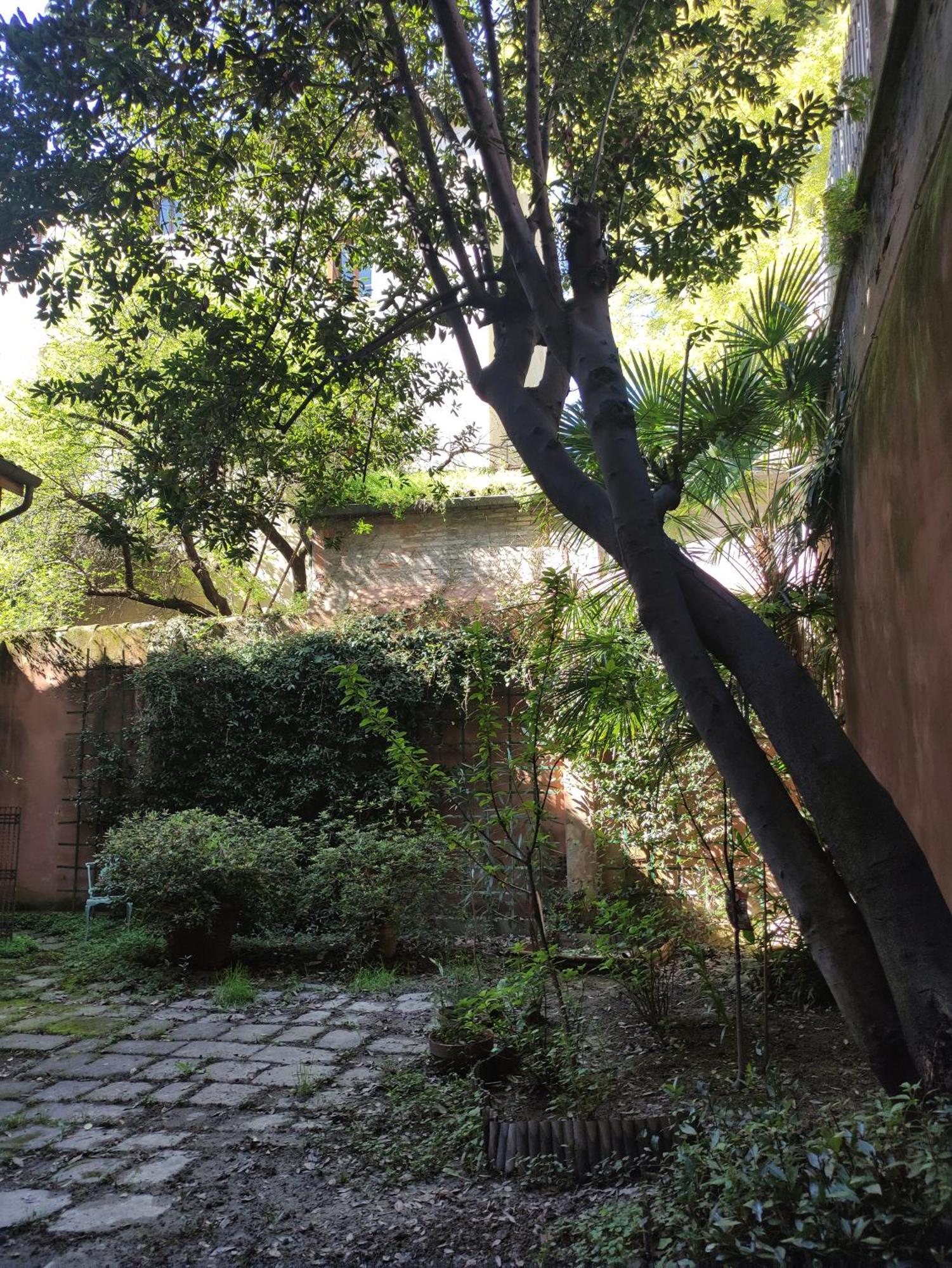 Loft Loggia Al Santo Lejlighed Padova Eksteriør billede